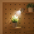 Pivota - Adhesive Multi-Directional Spotlight