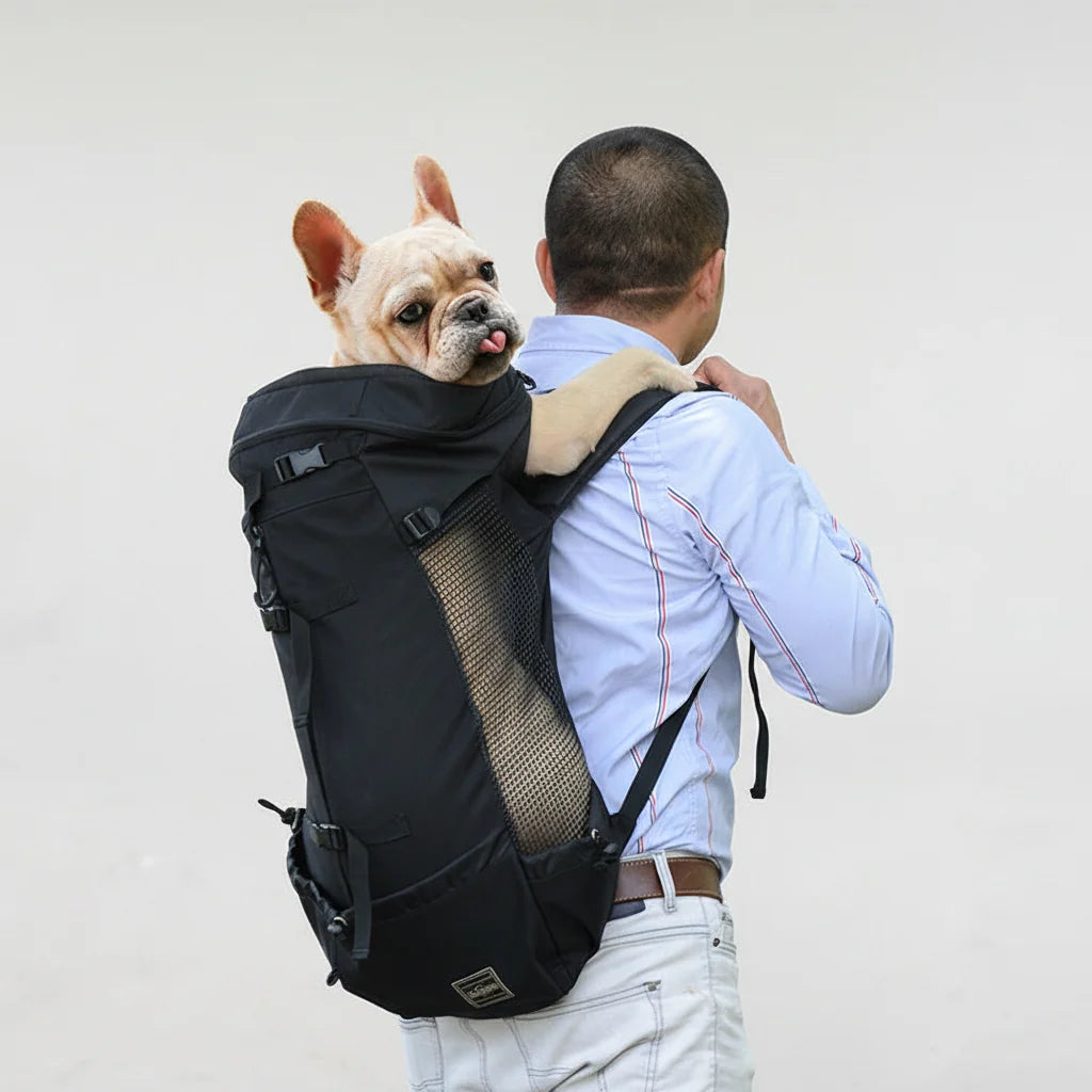 Ergonomic dog carrier backpack with breathable padded panels for small dogs